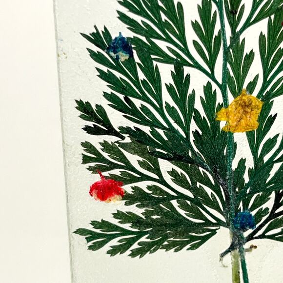 Cipriani Designs Pressed Flower in Glass Christmas Frame - Picture 6 of 7